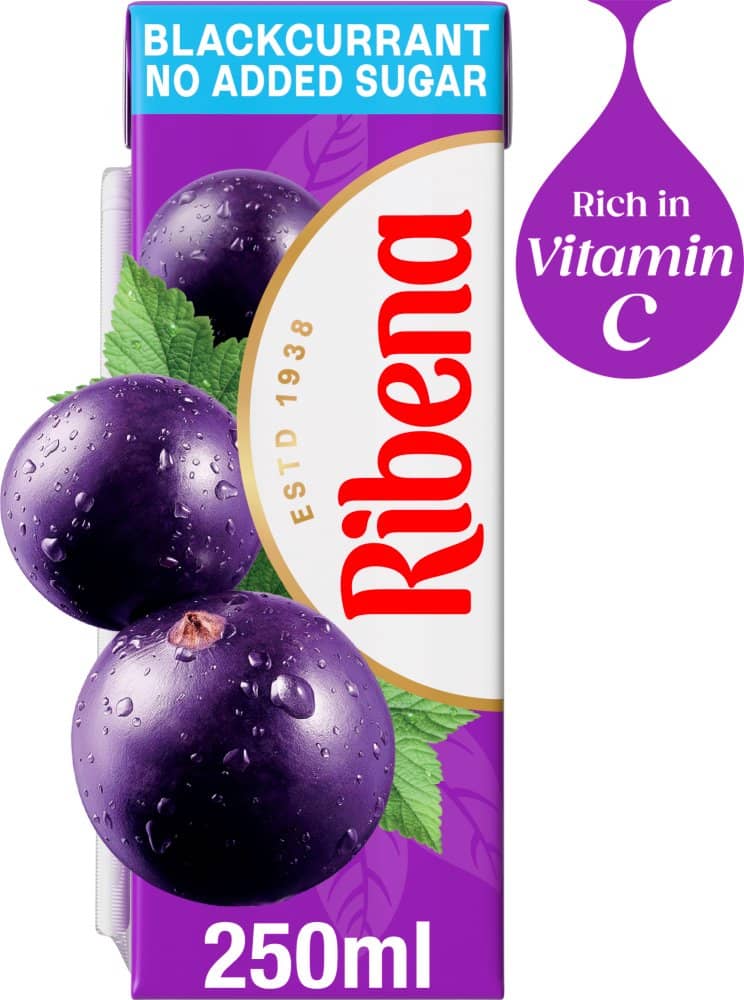 Ribena Blackcurrant No Added Sugar 250ml
